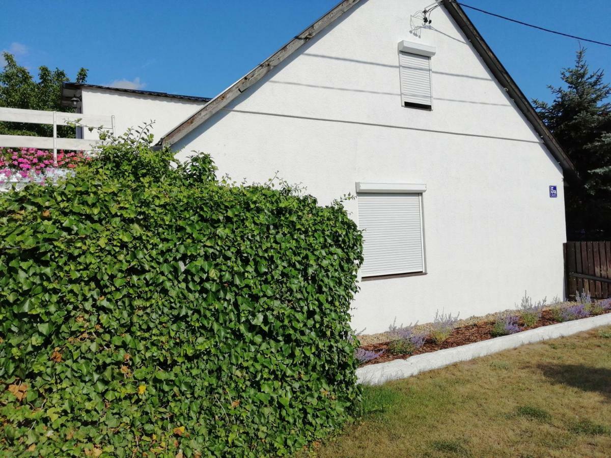 Zacisze Homestay